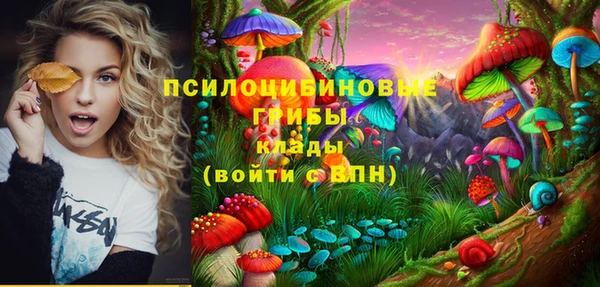 индика Аркадак