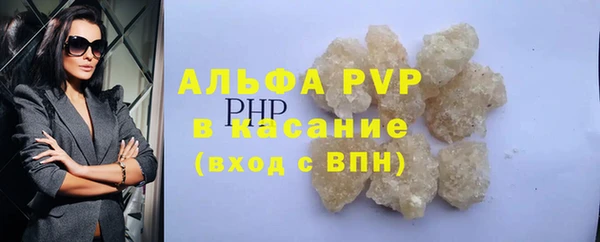 индика Аркадак
