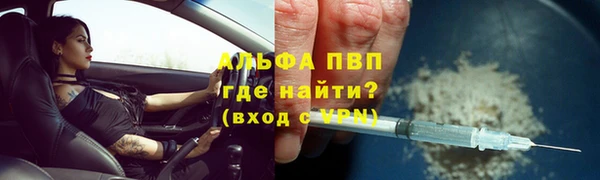 индика Аркадак