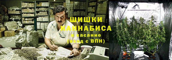 индика Аркадак