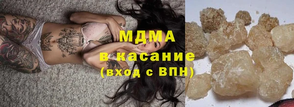 индика Аркадак