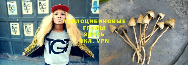 спиды Армянск